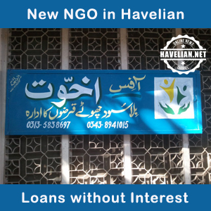 NGO, interest, loans, international public school, havelian, Akhuat Office