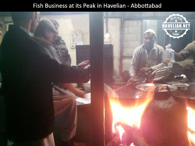 fish center, havelian, fish business