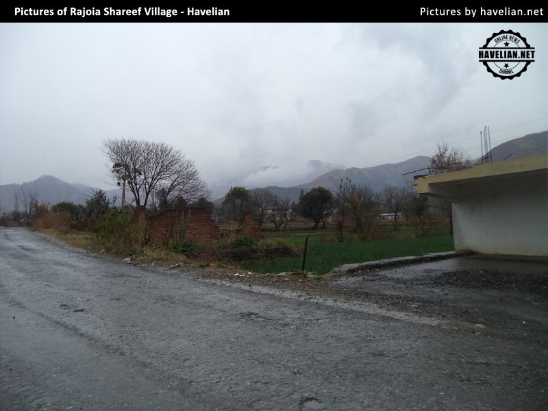 rajoia, rajoia village, havelian, rain in rajoia village